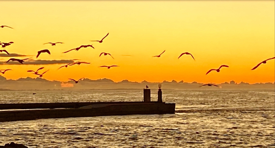 2 Bedroom Property for Sale in Velddrif Western Cape